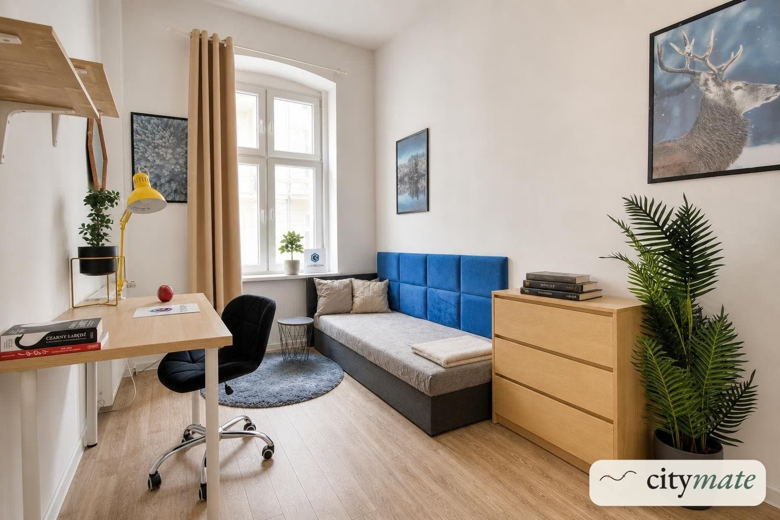 ul. Wrocławska 16 · Room 1