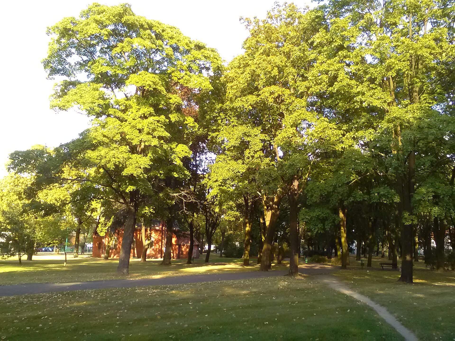 Gustaw Manitius Park in the Grunwald district